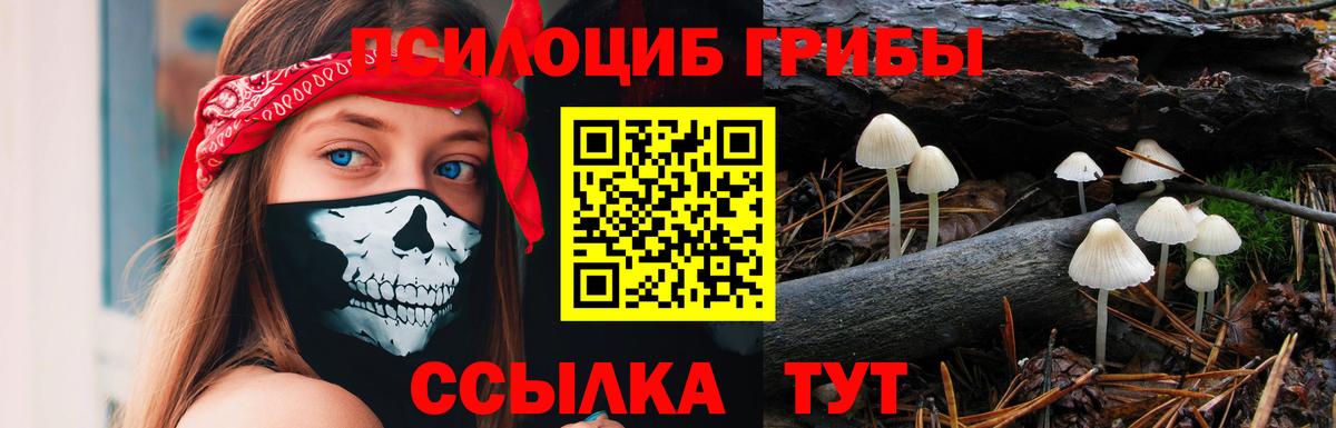 Псилоцибиновые грибы мухоморы Чехов